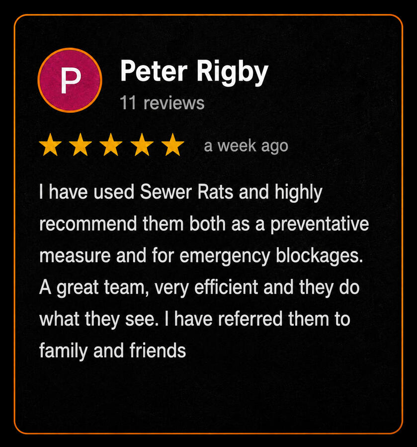 Review 4 Review 4